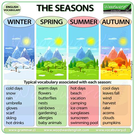 4 Seasons Winter betsul