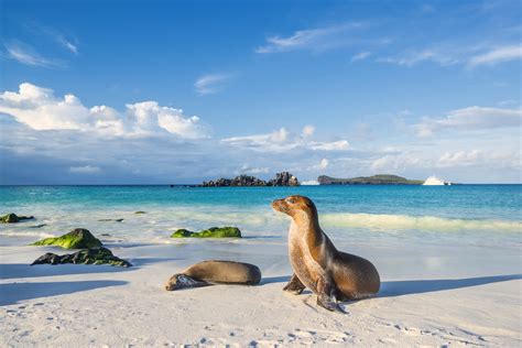 Galapagos Islands Bwin