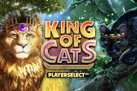 King Of Cats Megaways Betsson