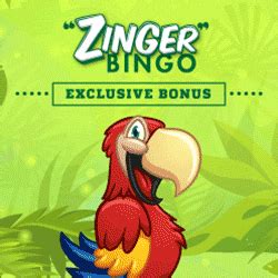 Zinger bingo casino download